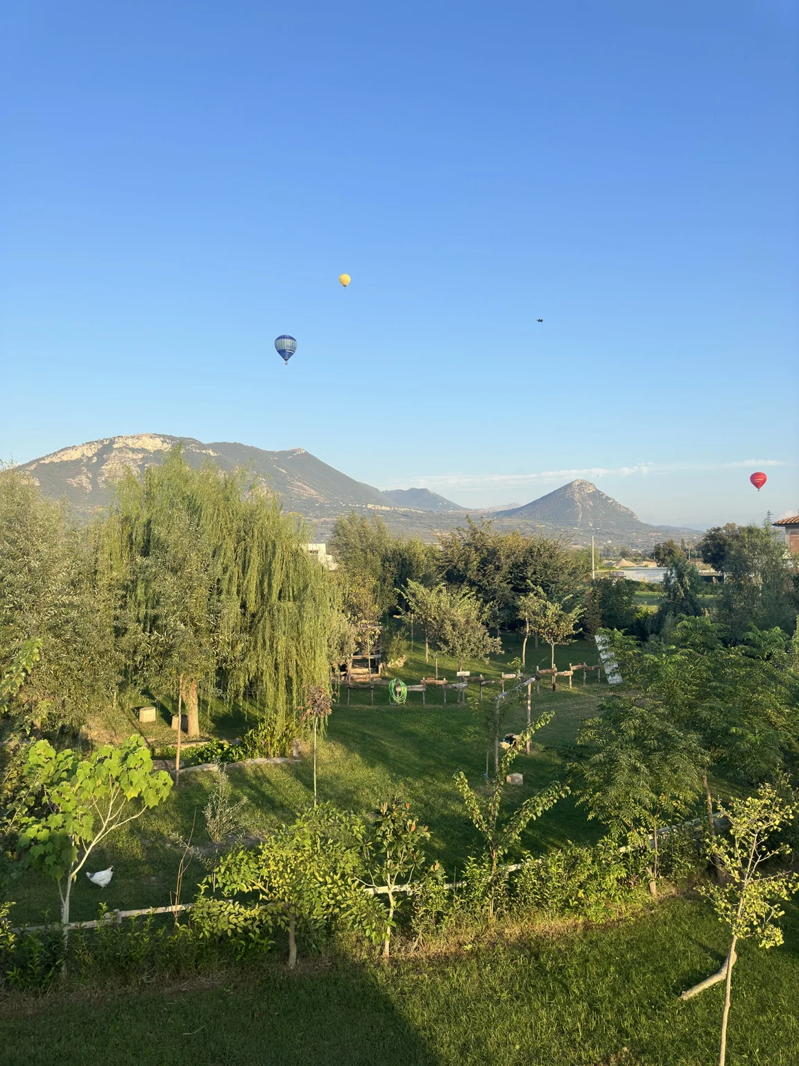 Mongolfiere del Festival di Paestum sopra il paesaggio e il giardino di Podere Cafasso